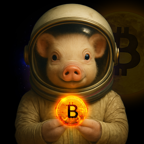 Moonpig Astronaut Pig